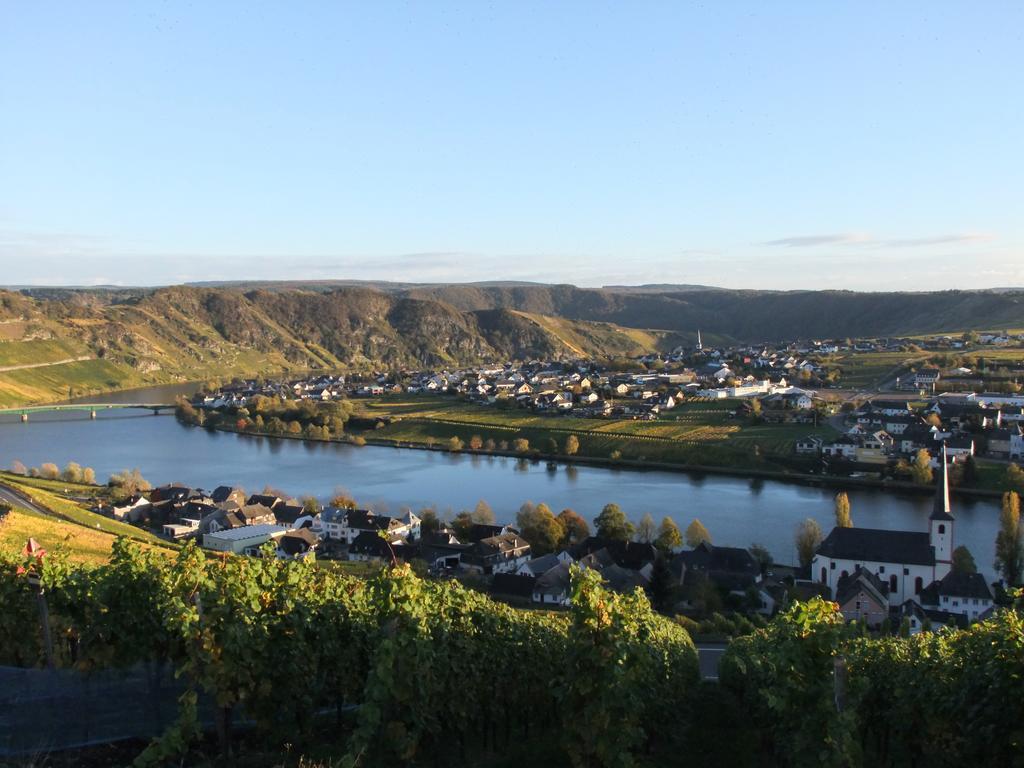 Weingut Lehnert-Veit Gutshotel Piesport Kültér fotó