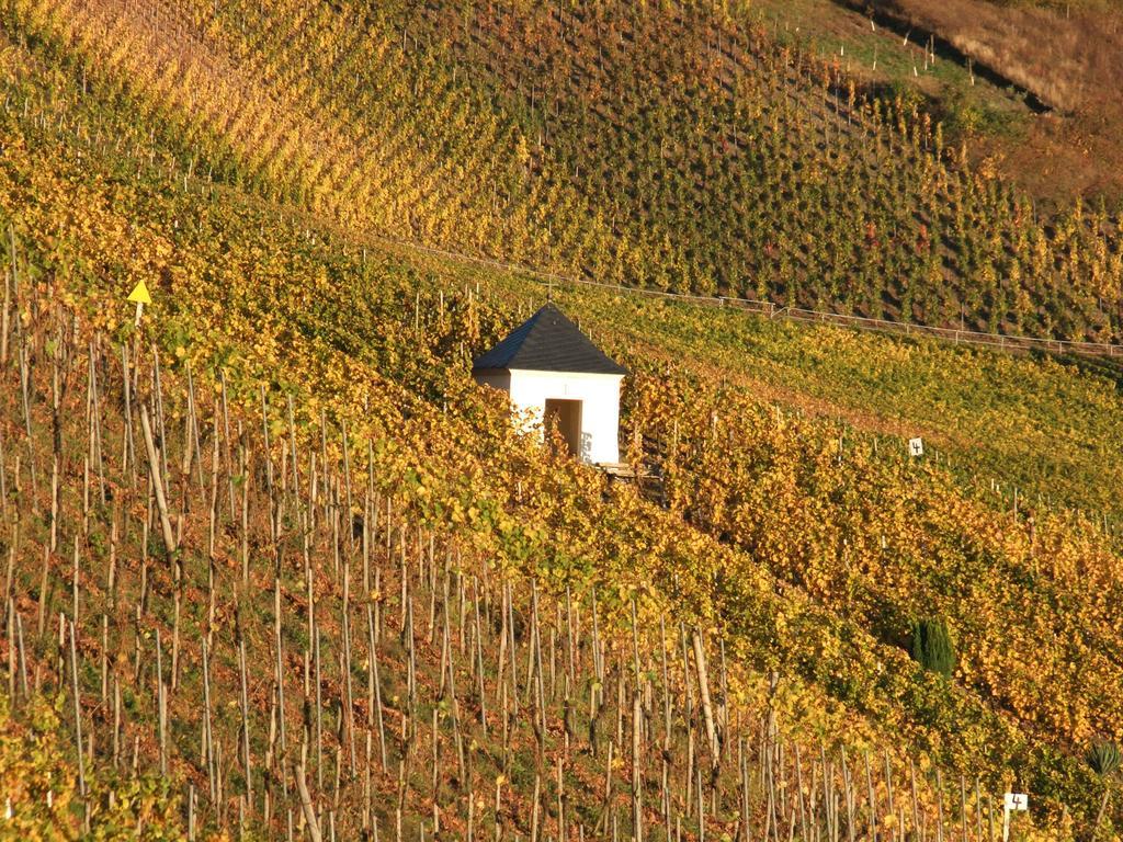 Weingut Lehnert-Veit Gutshotel Piesport Kültér fotó