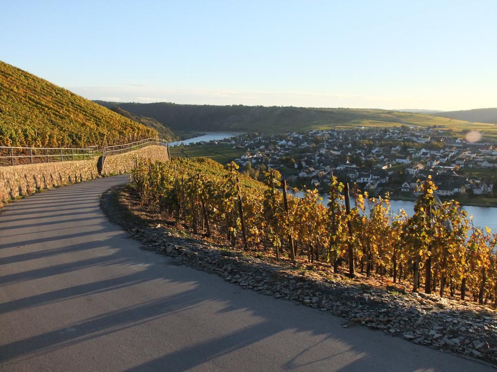 Weingut Lehnert-Veit Gutshotel Piesport Kültér fotó