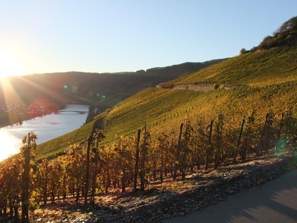 Weingut Lehnert-Veit Gutshotel Piesport Kültér fotó