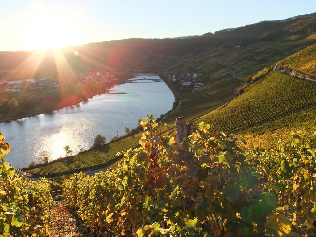 Weingut Lehnert-Veit Gutshotel Piesport Kültér fotó