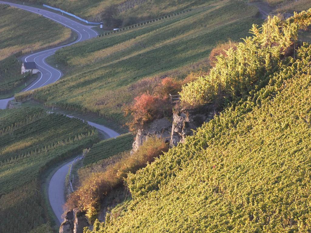 Weingut Lehnert-Veit Gutshotel Piesport Kültér fotó
