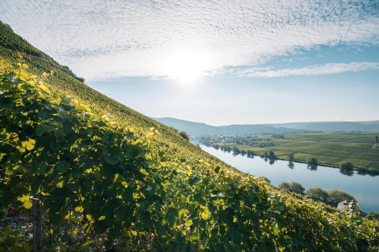 Weingut Lehnert-Veit Gutshotel Piesport Kültér fotó