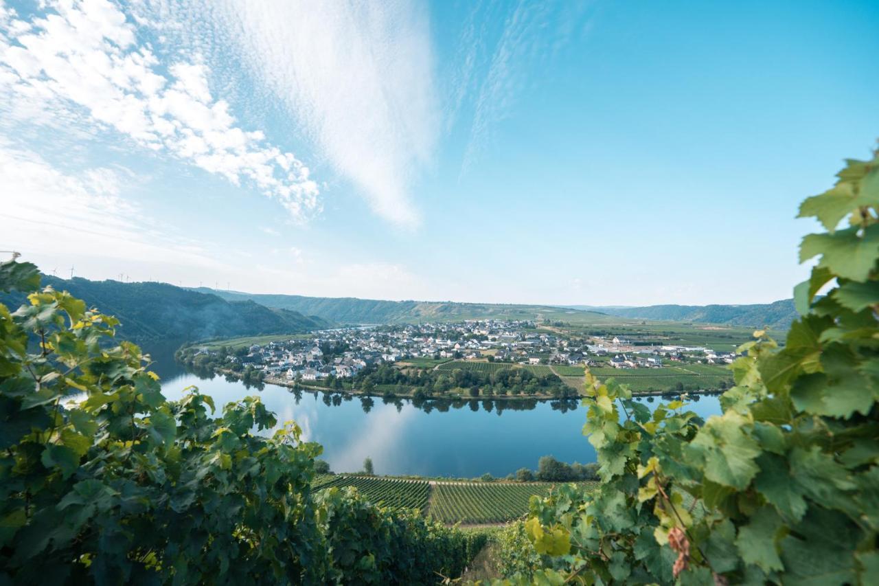 Weingut Lehnert-Veit Gutshotel Piesport Kültér fotó